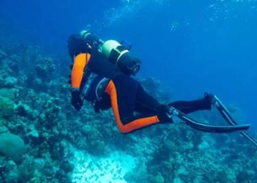各类招聘活动3000多场，提供就业岗位超过97万个，湖北启动2024年“春风行动”